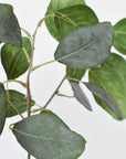 24" Faux Eucalyptus Leaf Stem