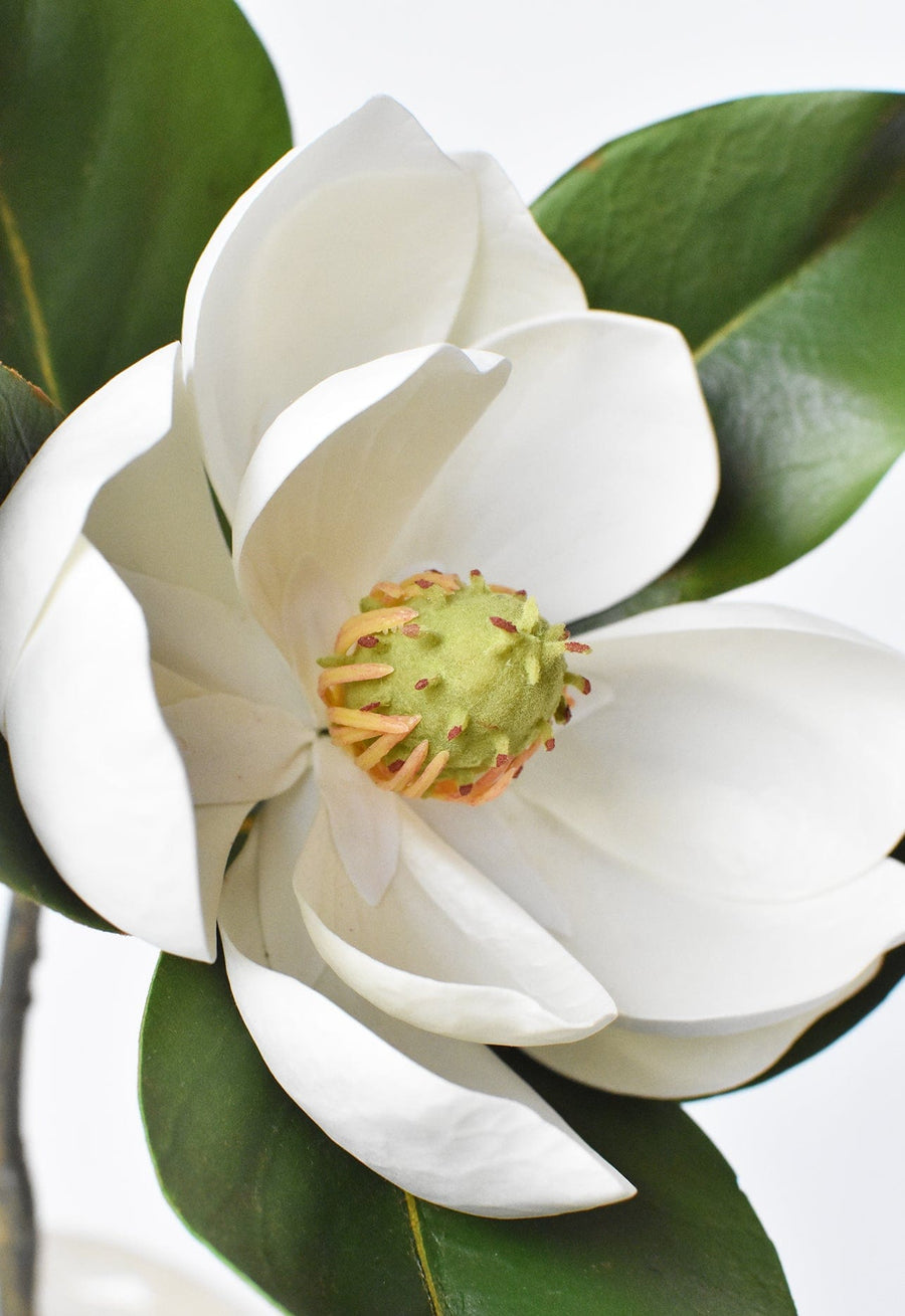 24" Faux Magnolia Blossom Stem