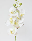 30" Faux White Orchid Stem