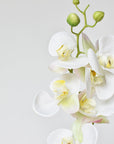 30" Faux White Orchid Stem