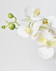 30" Faux White Orchid Stem