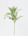 12"Faux Green Sage Pick Stem