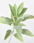 12"Faux Green Sage Pick Stem