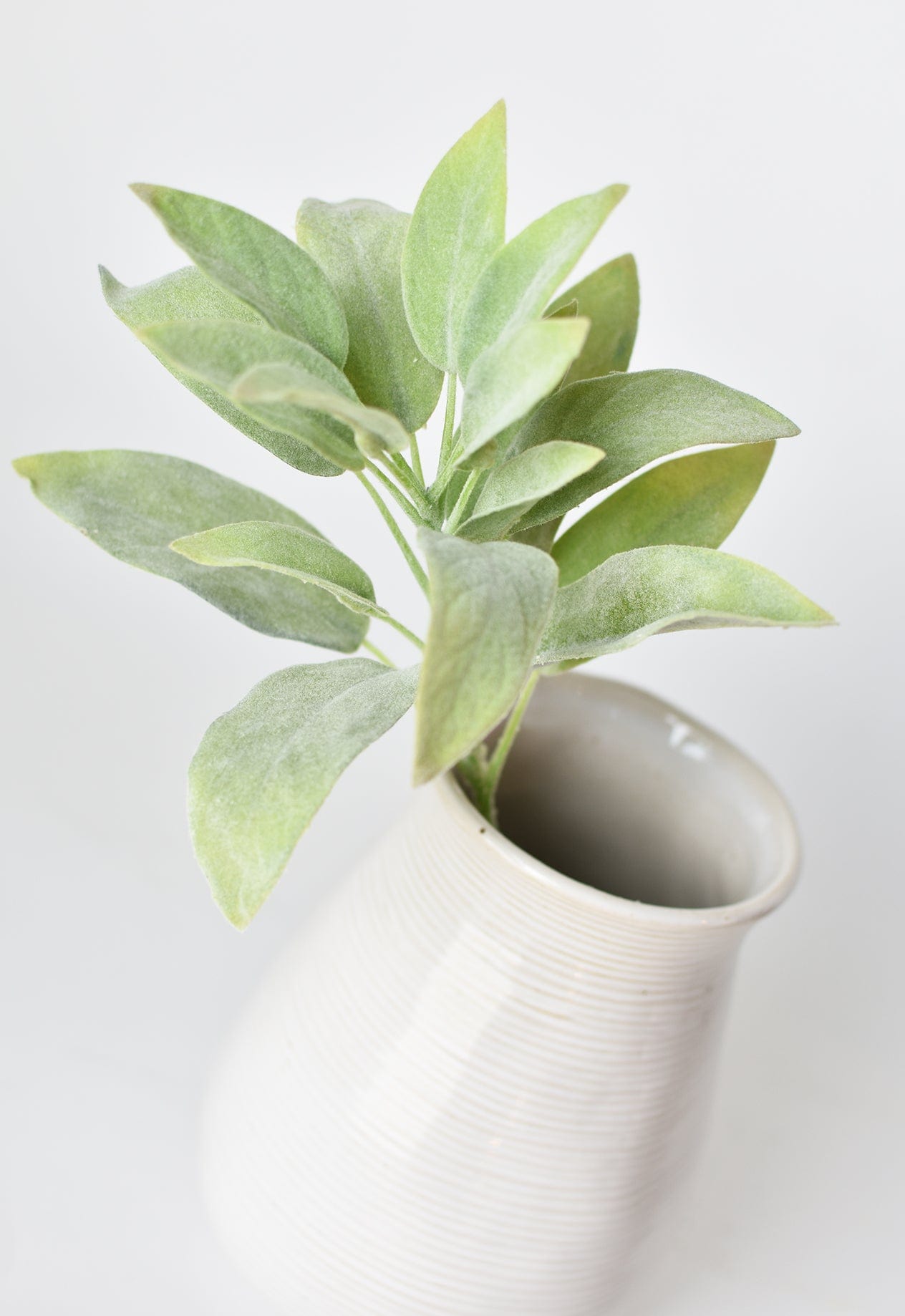 faux sage plant in pot 12"Faux Green Sage Pick Stem – House by JSD