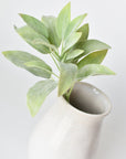 12"Faux Green Sage Pick Stem