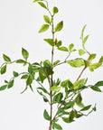 32" Faux Nandina Leaf Stem
