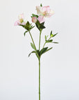 25" Faux Helleborus Stem Pink / Green