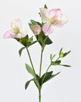 25" Faux Helleborus Stem Pink / Green