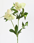25" Faux Helleborus Stem Green