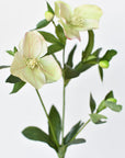 25" Faux Helleborus Stem Green