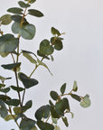 40" Faux Eucalyptus Stem