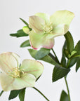 25" Faux Helleborus Stem Green
