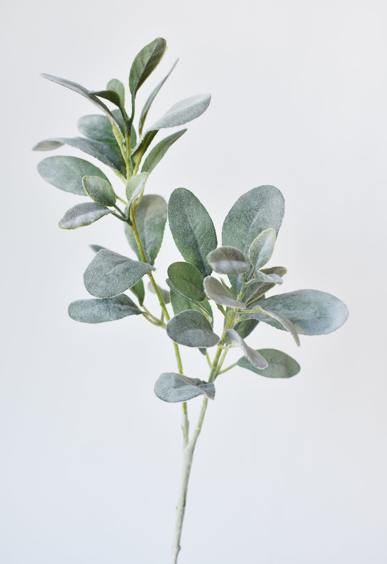 faux lambs ear potted plant 28" Faux Lambs Ear Leaf Stem