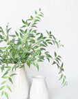 36" Faux Italian Ruscus Stem