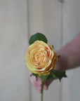 22" Faux Large Rose Bud Stem Yellow