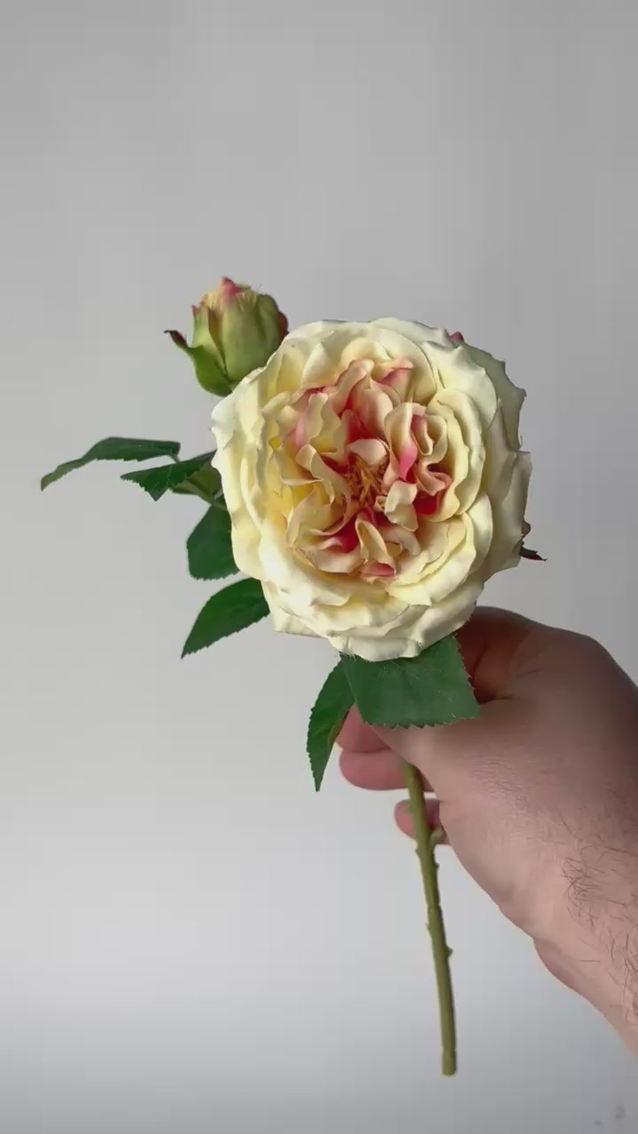 14" Faux Yellow Cabbage Rose Stem