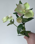 25" Faux Helleborus Stem Green