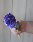 12.5" Faux Hyacinth Purple Violet Stem