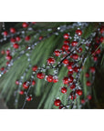 29" Faux Iced Red Berry Stem