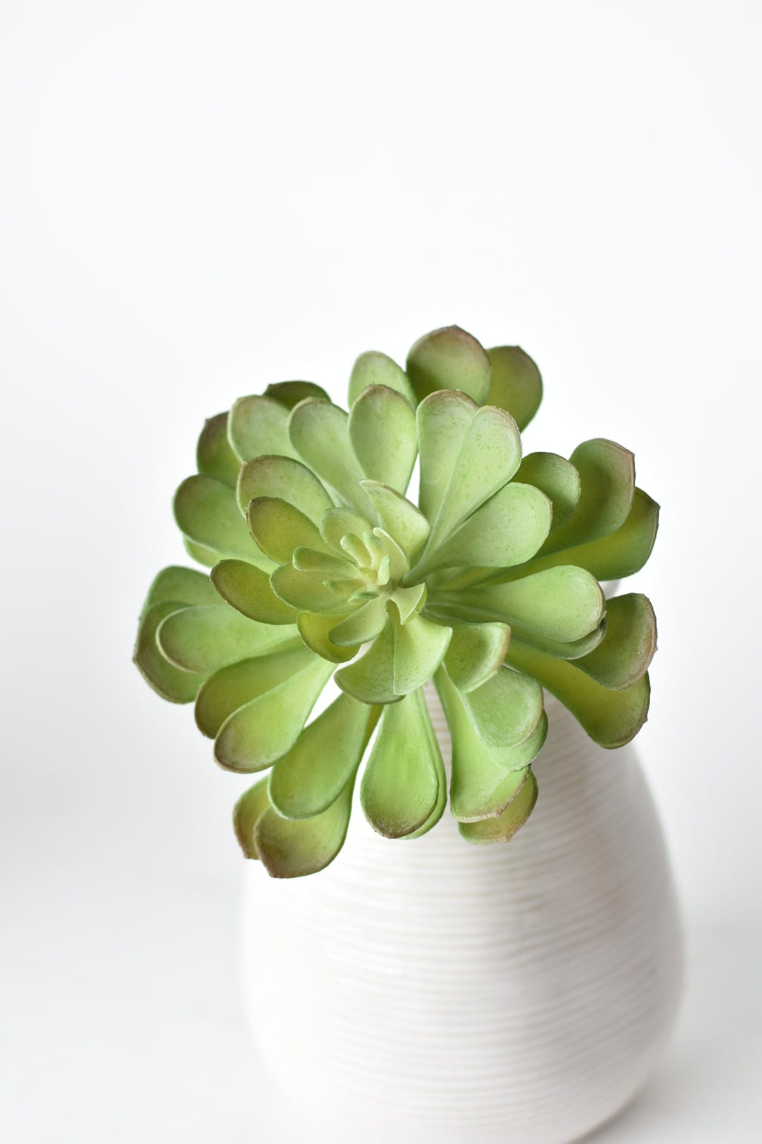 most realistic faux succulents 6"H x 5"D Soft Aeonium Pick Green Gray