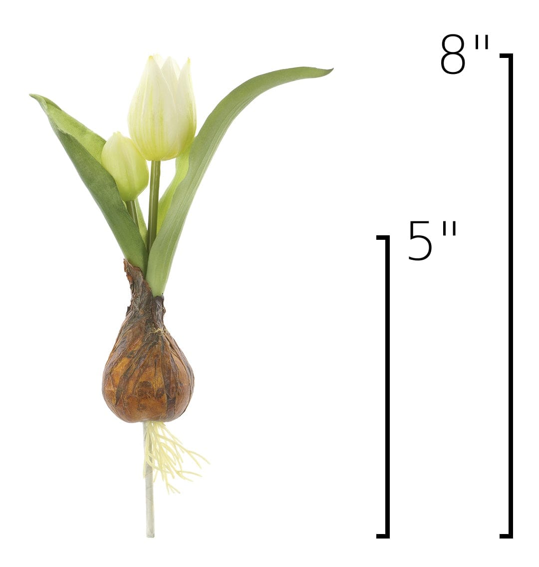Size guide: 8 inches overall, splits at 5 inches
