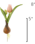 Size guide: 8 inches overall, splits at 5 inches