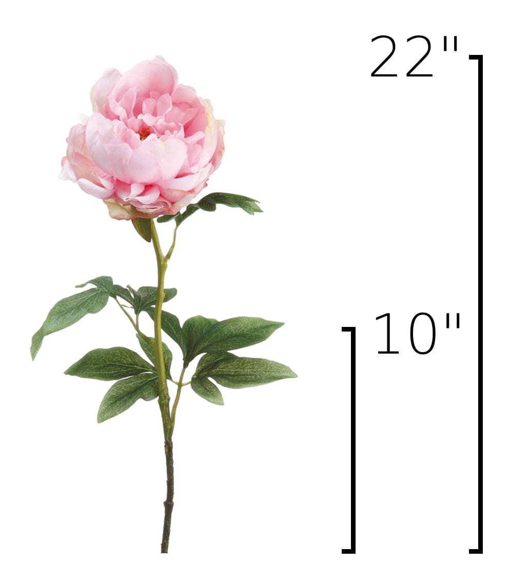 Size guide: 22 inches overall, splits at 10 inches