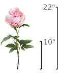 Size guide: 22 inches overall, splits at 10 inches