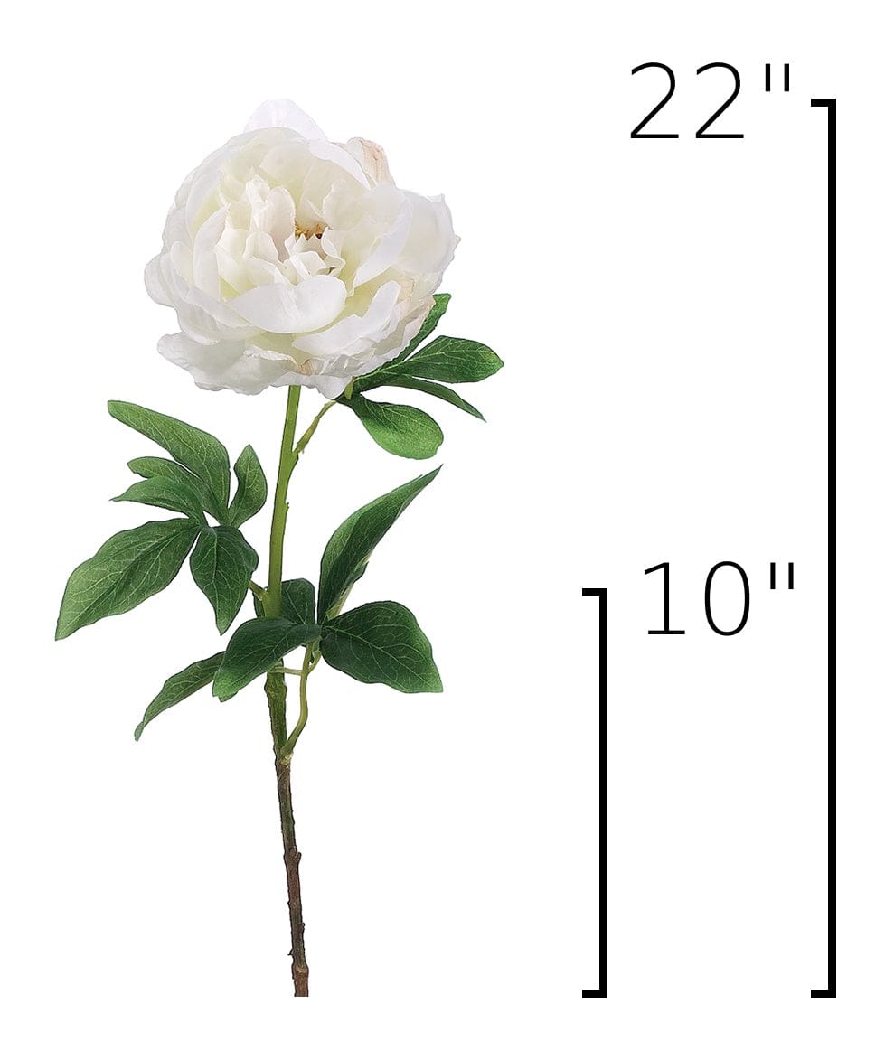 Size guide: 22 inches overall, splits at 10 inches