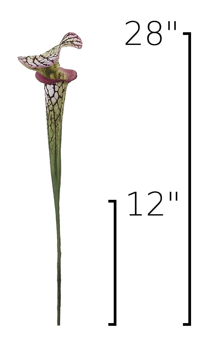 Size guide: 28 inches overall, splits at 12 inches