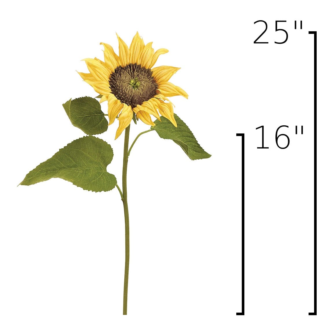Size guide: 25 inches overall, splits at 16 inches