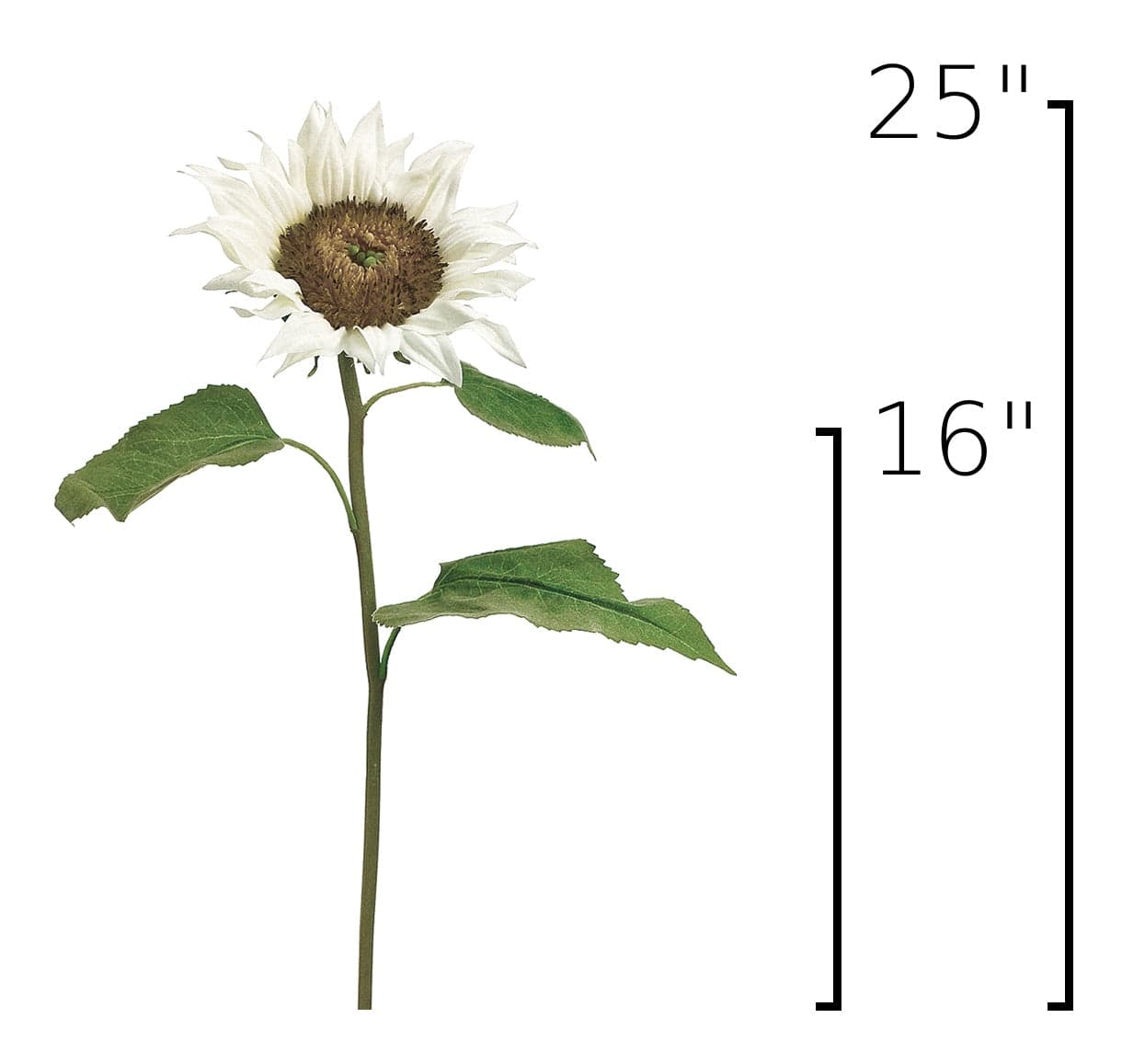 Size guide: 25 inches overall, splits at 16 inches