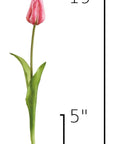 Size guide: 19 inches overall, splits at 5 inches