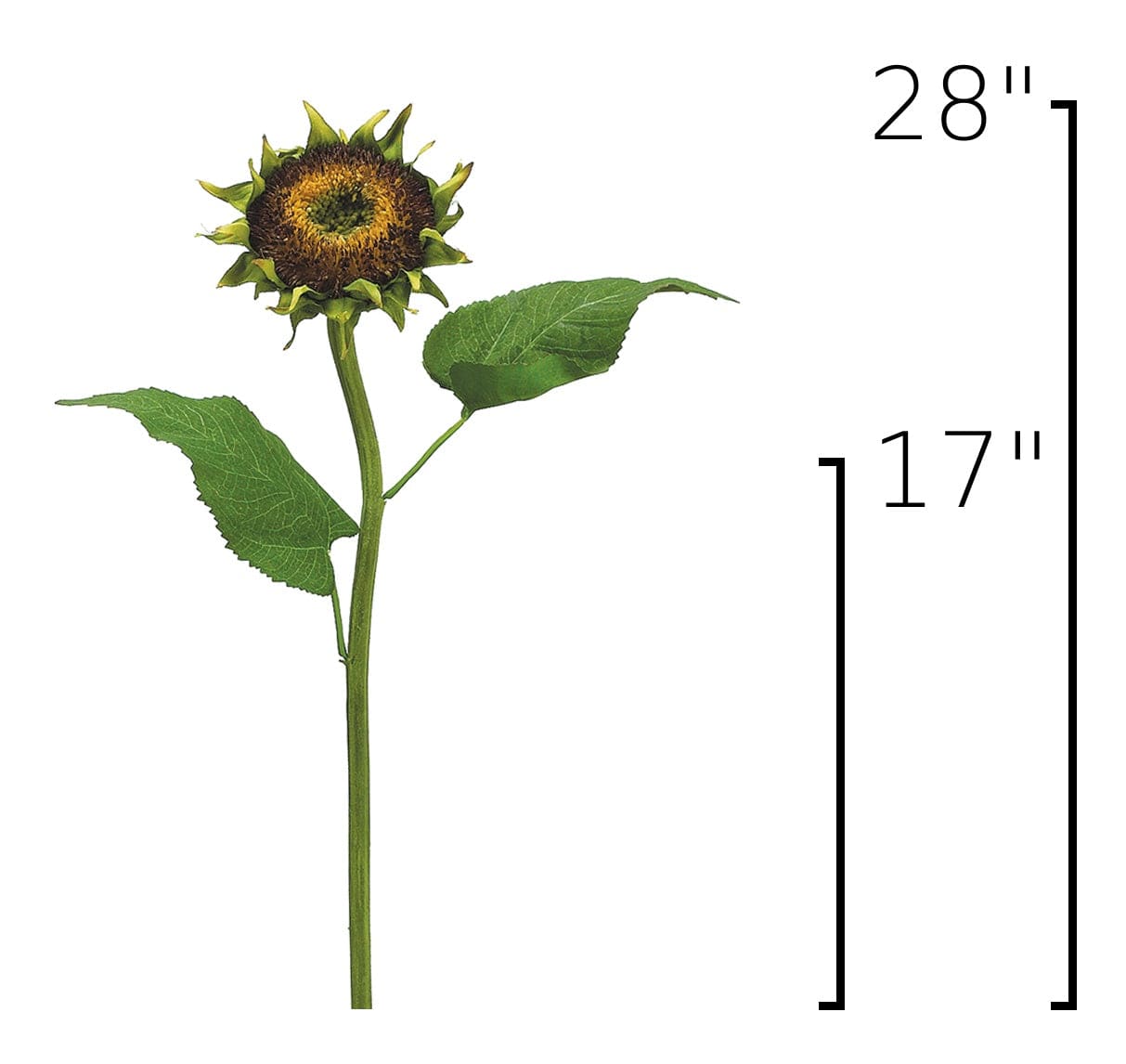Size guide: 28 inches overall, splits at 17 inches