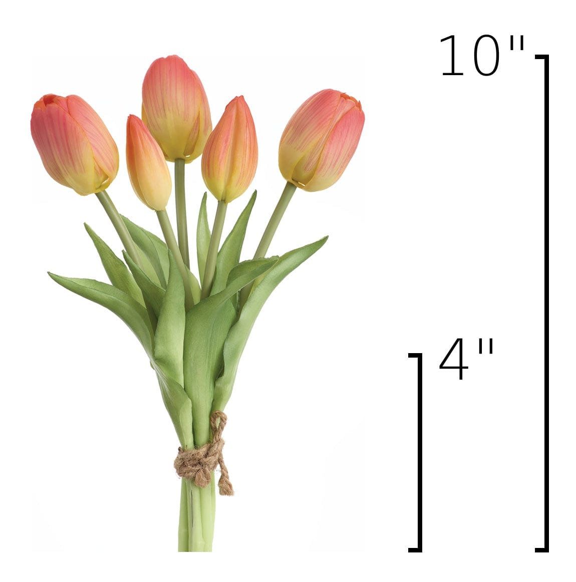 Size guide: 10 inches overall, splits at 4 inches