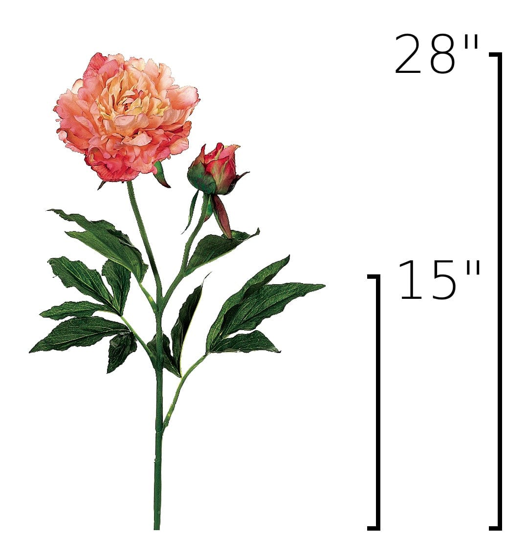 Size guide: 28 inches overall, splits at 15 inches