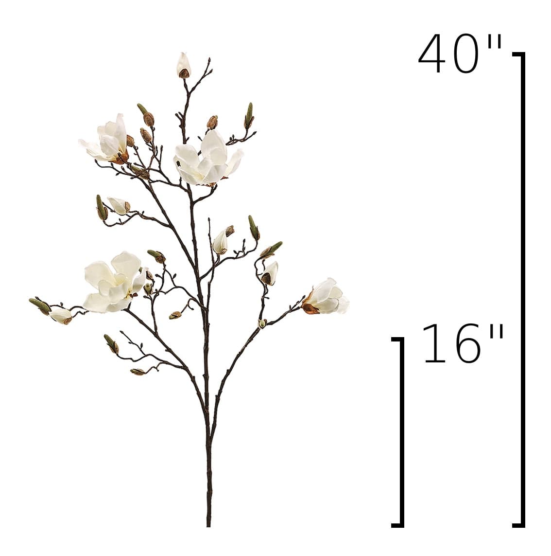 Size guide: 40 inches overall, splits at 16 inches