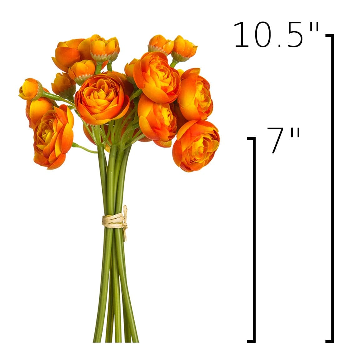 Size guide: 10.5 inches overall, splits at 7 inches