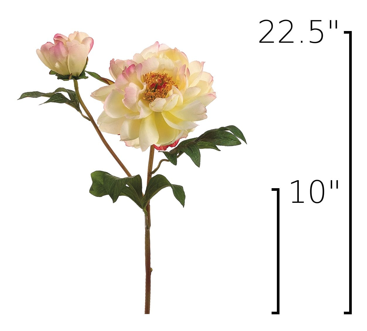 Size guide: 22.5 inches overall, splits at 10 inches