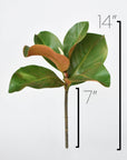 14" Faux Magnolia Leaf Stem