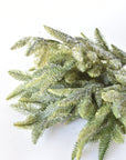 18" Faux Iced Sugar Pine Bush