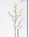 36" Faux Quince Blossom Apricot Cream Stem Flowering Branch