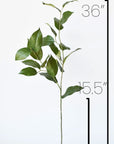 36" Faux Lemon Leaf Branch Stem