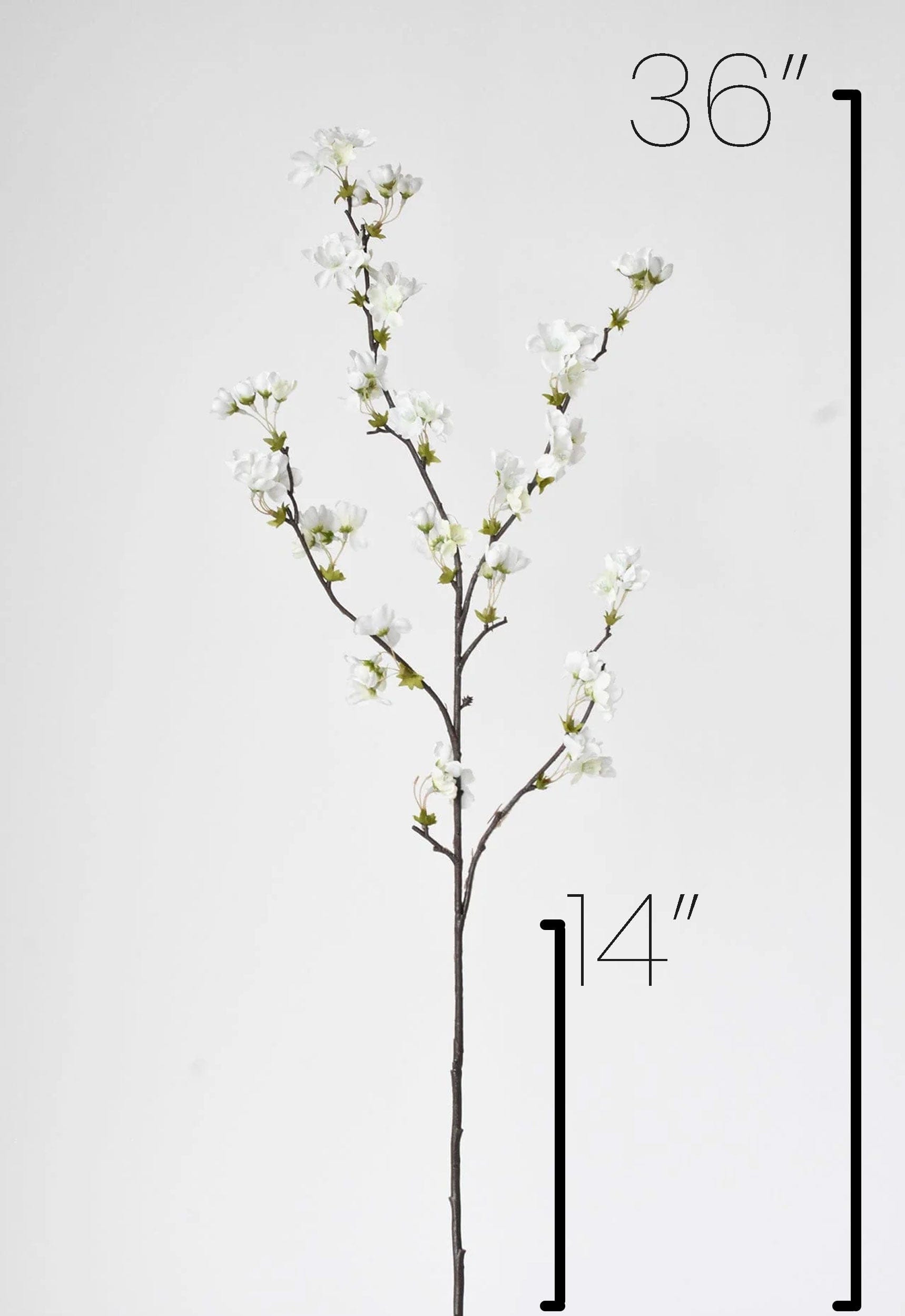 36" Faux Quince Blossom Cream / White Stem Flowering Branch