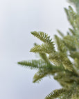 18" Faux Iced Sugar Pine Bush