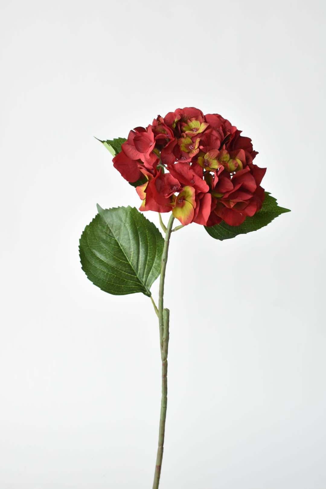 Artificial red hydrangea stem at an angle with three large green leaves