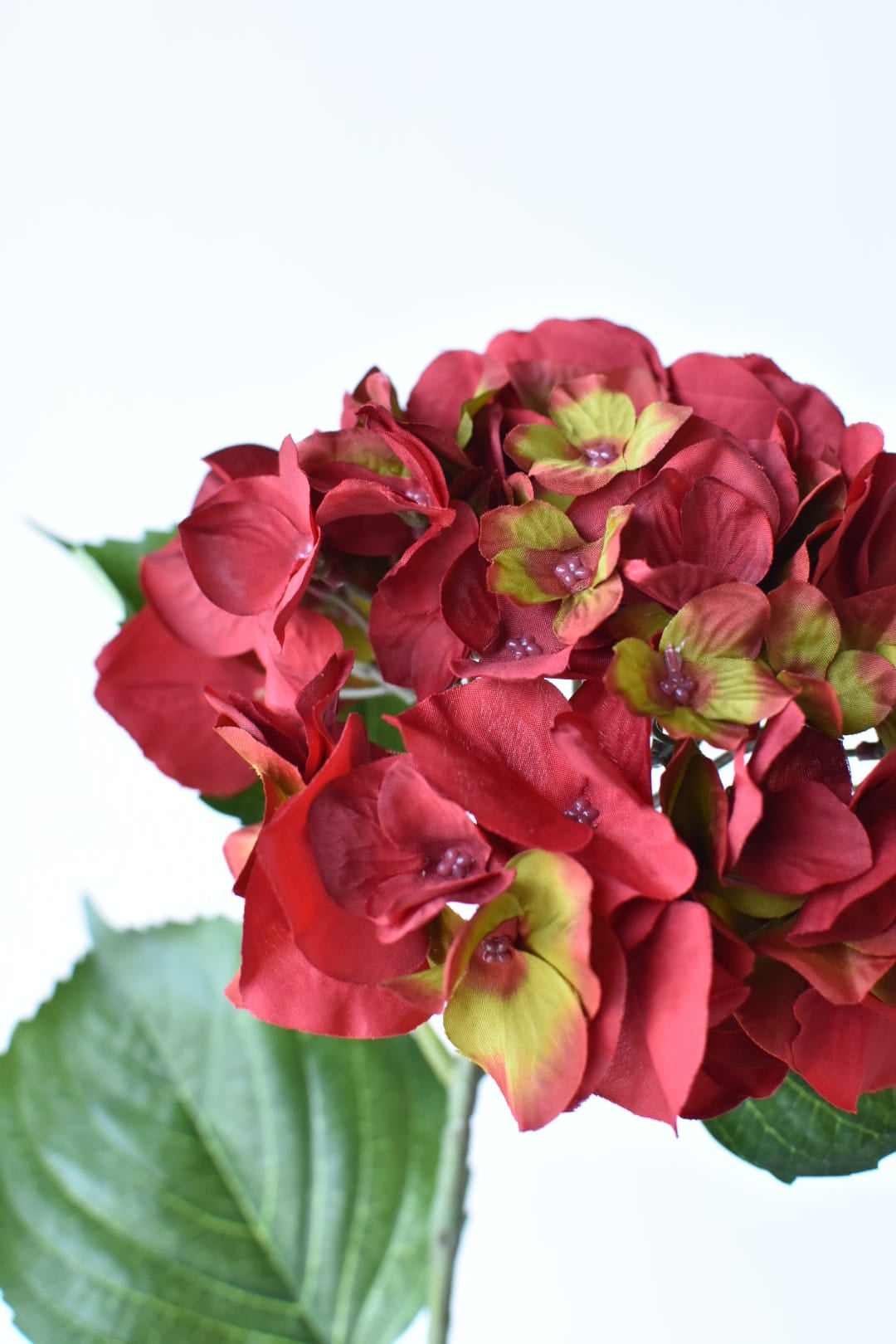Red and green faux hydrangea florets in detail, poly silk texture
