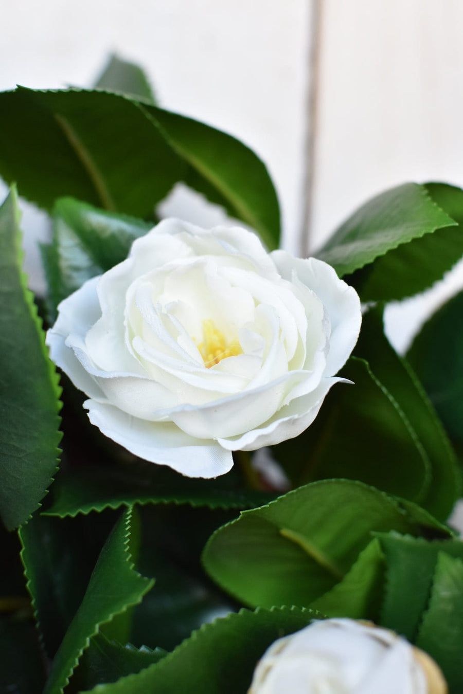 26" Faux White Camellia with Foliage Wreath