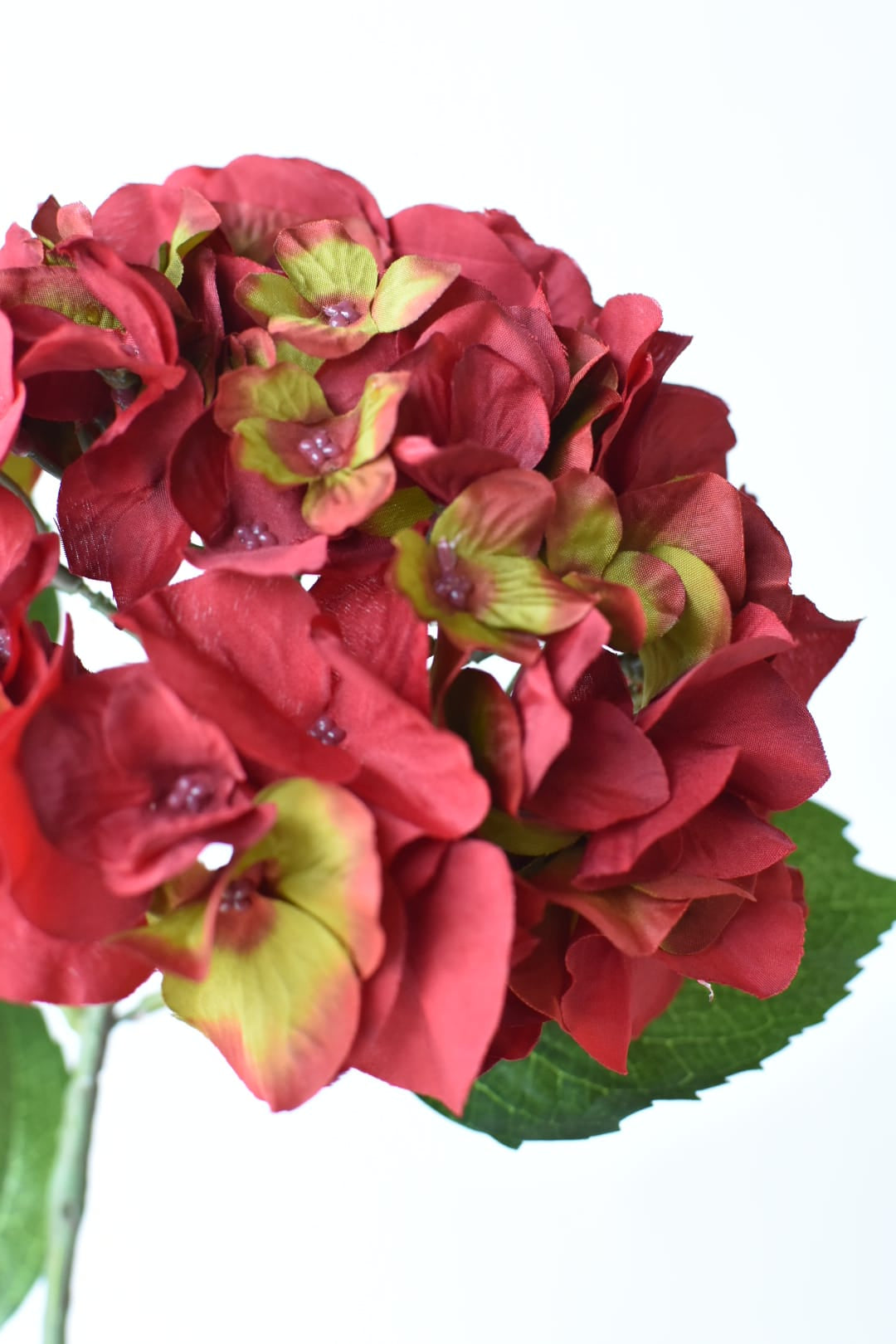 23-inch faux red hydrangea head stem with green accents, full stem view