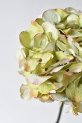 30-inch faux green and lavender hydrangea stem with one full antique head